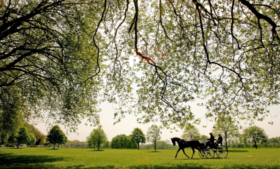 Royal Windsor Horse Show - Day 2