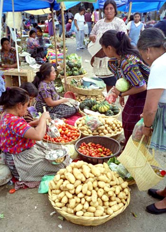 This present-day marketplace in Antigua, Guatemala has a similar pattern of soil residue to that of an ancient Maya site, proving that the ancient people had a market economy.
