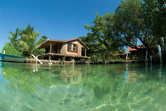 Clark’s Cay, in Guanaja. A true off-the-grid adventure, wreck divers will enjoy the Jado Trader, sunk intentionally in 110 feet of water in 1987, or the shrimper Ruthie C., in only 45 feet of water and reachable from shore or boat. Another shrimper, the Don Enrique sits at 90 feet next to a well-decorated wall.