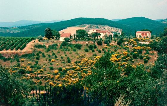 Image: Tuscan Countryside