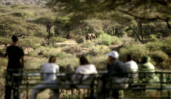 Image: Tourists observe an elephant at Lake Manyara's national park