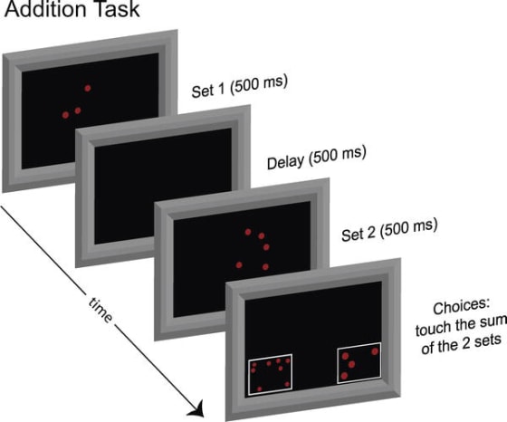 Image: Addition task image