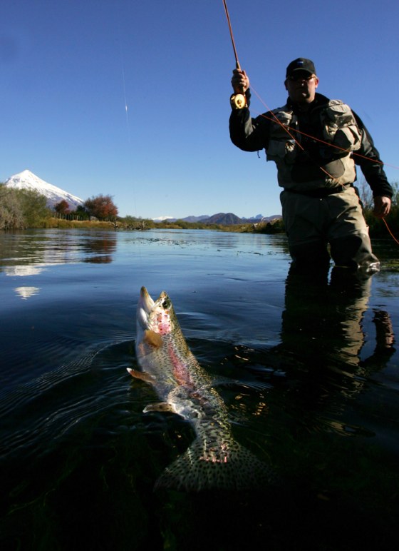 Image: Man catching trout