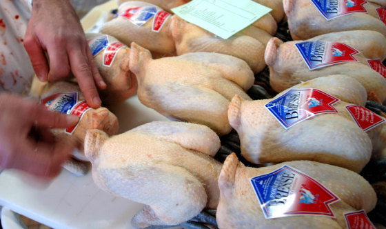 Image: Bresse chickens