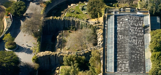Image: The tiger enclosure at the San Francisco Zoo sits empty