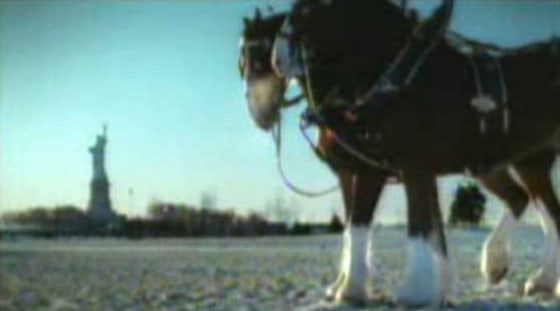 Image: Super Bowl ad