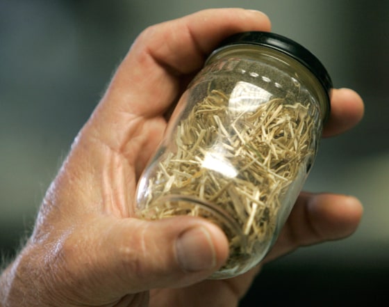 Image: jar of switchgrass