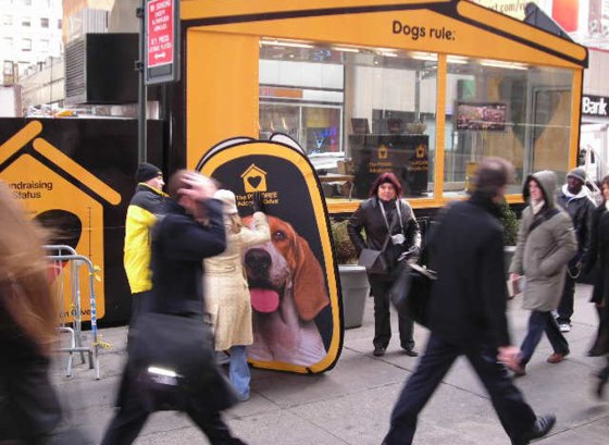 Pedigree's Adoption Drive is held during the Westminster Dog Show's two-day event in Madison Square Garden to help homeless pets around the country.