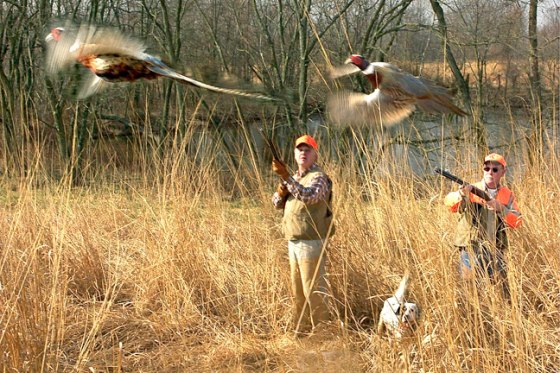 Image: duck hunters