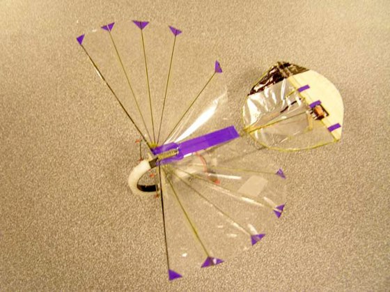 Image: Micro air vehicle