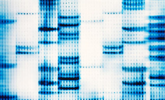 Image: DNA