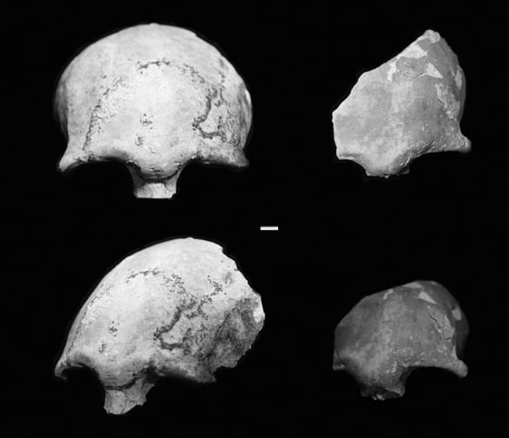 Image: Skulls from Palau