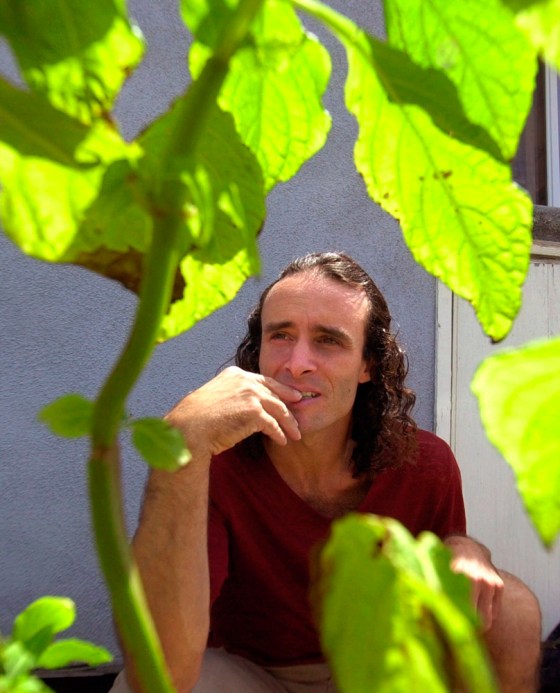 Image: Daniel Siebert, an amateur botanist, poses with salvia divinorum plants.