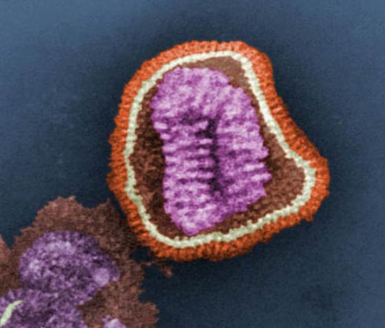 Image: A false-color image of an influenza virus