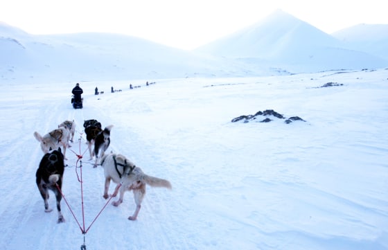Image: Arctic archipelago of Svalbard
