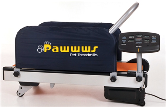 Image: Pet treadmill