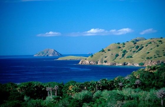 Image: Komodo National Park, Indonesia