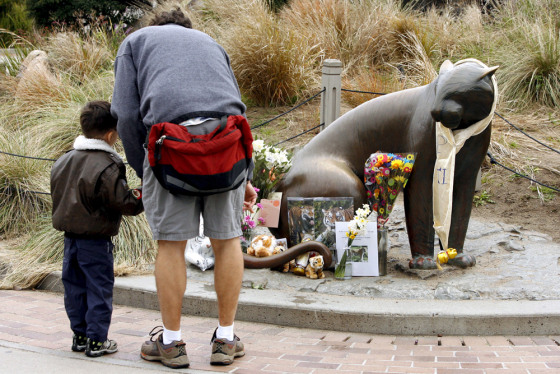 Image: San Francisco Zoo re-opens after tiger attack on Christmas