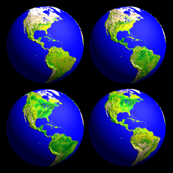 Image: Seasons
