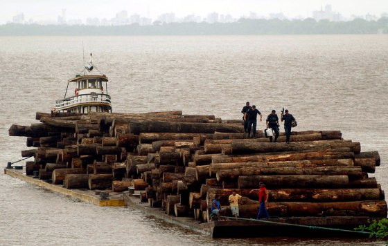 Image: Brazilian police guard a raft loaded with confiscated logs.