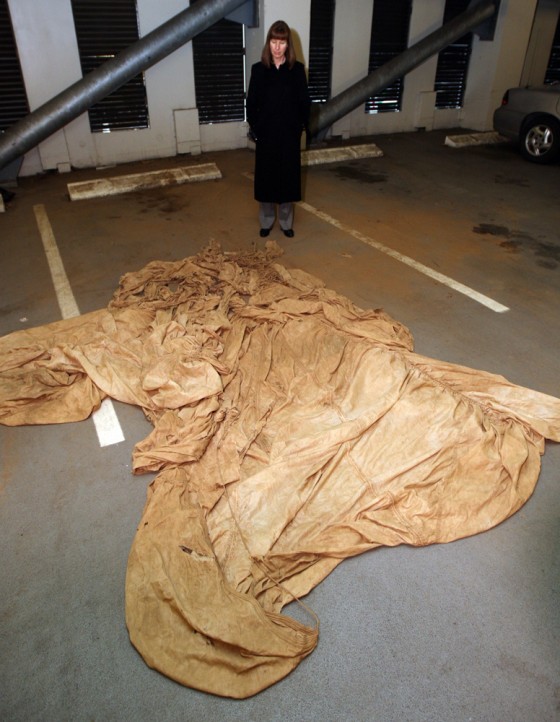 Image: FBI agent Robbie Burroughs and parachute