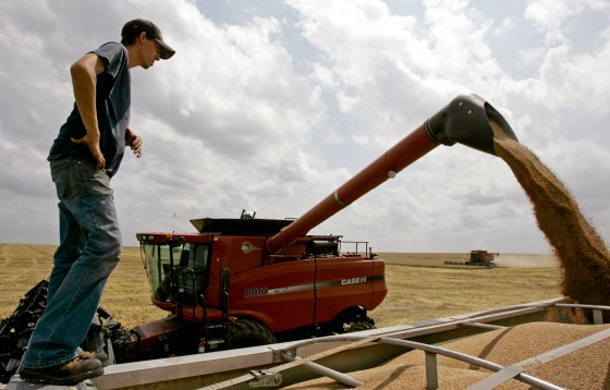 Image: Grain harvest