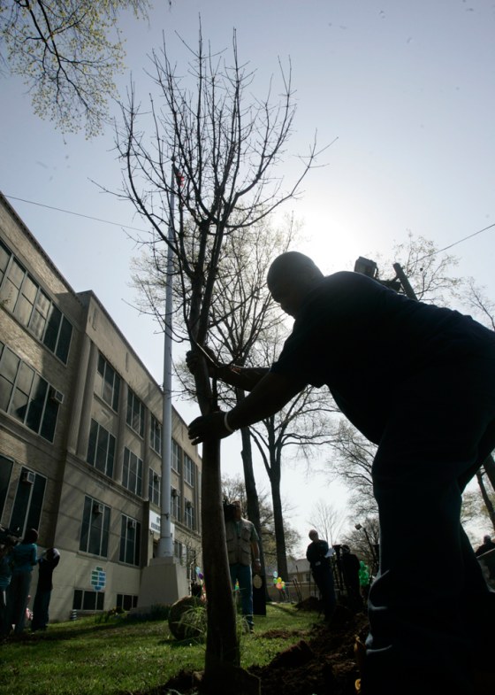 A member of the city parks and grounds department plants a tree at Ivy Hill Elementary School in Newark, N.J., during an Earth Day ceremony on Wednesday.