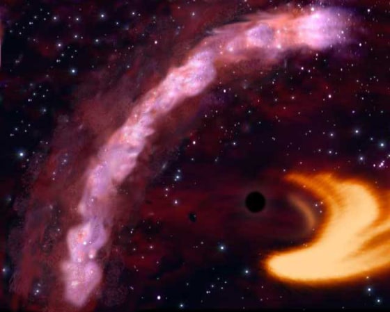Black Hole Ripping Apart A Star