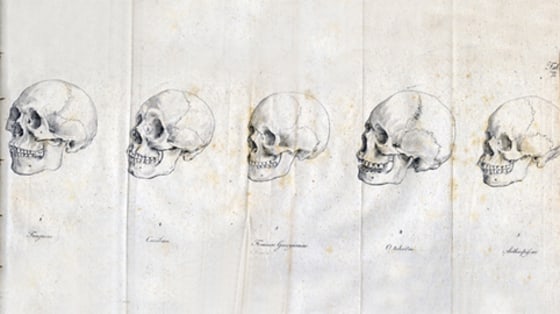 Image: Skulls