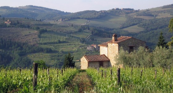 Image: Tuscany