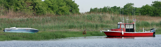 Image: Larry Brown attaches a line to an abandoned motor boat in Gerritsen Creek in New York
