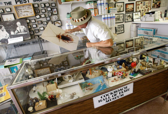 Image: Michael Bohdan holds a print of a cockroach at the Cockroach Hall of Fame