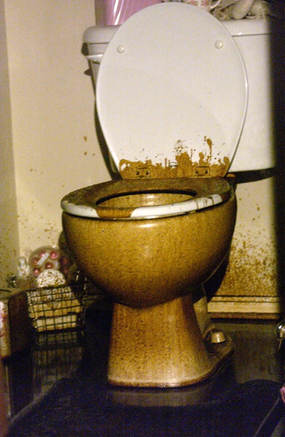 Crude oil covers the commode in Leila LeTourneau's Spring Hill, Texas, home, Feb. 2.