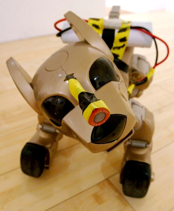 Cameras&nbsp;placed in the dogs' hindquarters&nbsp;allow researchers to observe their interaction with handlers.
