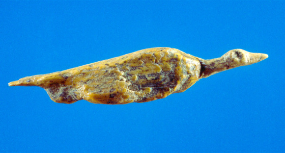 This small bird figurine is&nbsp;one of three carvings that were found at Hohls Fels Cave in southwestern Germany.