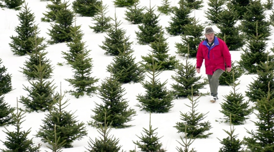 GRANGER TREE FARM