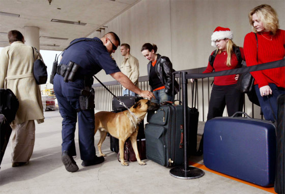 Image: Security at LAX
