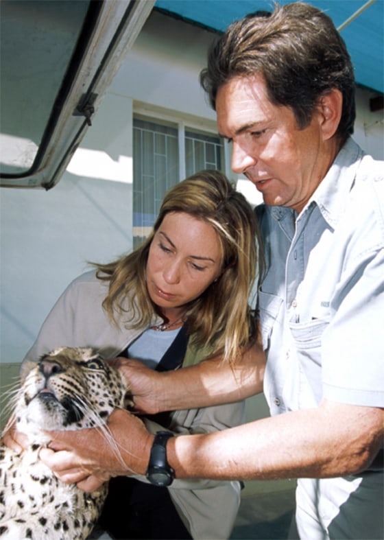 Veterinary pioneer Dr. Ulf Tubbesing has devoted his life to treating some of Africa's wildest and most unpredictable animals. National Geographic Ultimate Explorer correspondent Mireya Mayor joins Dr. Tubbesing at his clinic in Namibia as he races against time to save a family of leopards stricken with a mysterious and deadly brain disorder.