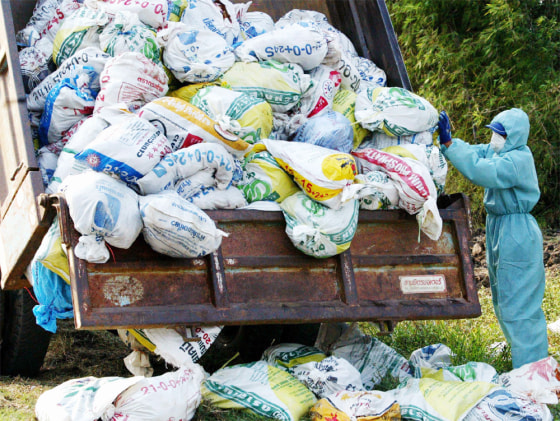 FILE PHOTO OF PRISONERS THROWING LIVE CHICKENS INTO A LANDFILL IN THAILAND