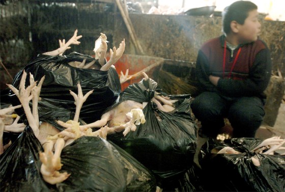 CHINESE BOY SITS NEXT TO SLAUGHTERED CHICKENS AT WHOLESALE POULTRY MARKET