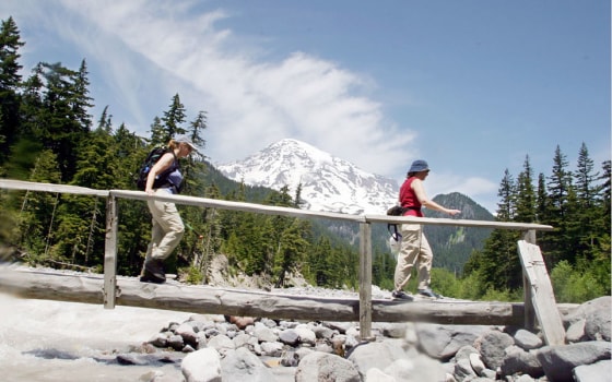 Image: Mt. Rainier National Park