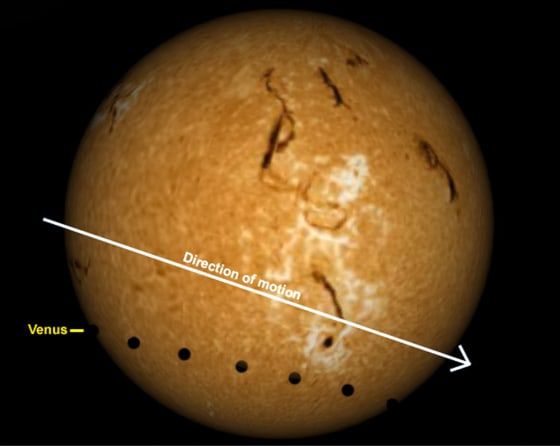 This chart of the sun's disk shows how the June 8 transit will unfold as seen from New York City. The black disks indicate Venus' position at various times during the transit.