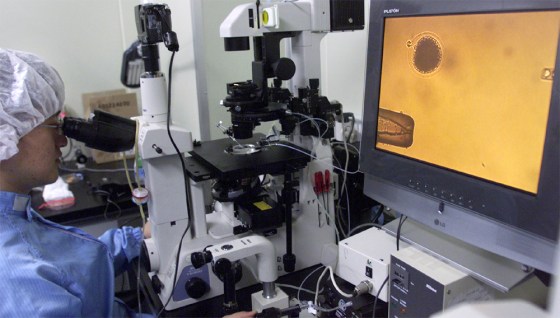 SOUTH KOREAN RESEARCHER INJECTS SOMATIC CELL INTO BOVINE ENUCLEATED EGG IN SEOUL