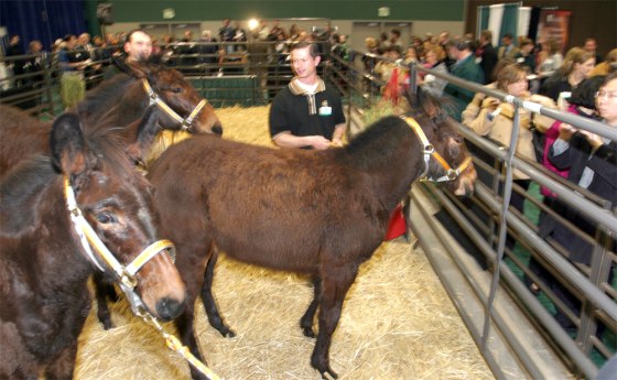 MULE CLONE