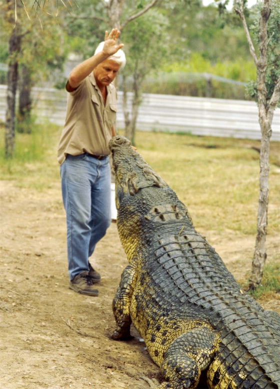 National Geographic Explorer
\"Croc Country: Nest Raiders\"
)ABC TV Natural History Unit