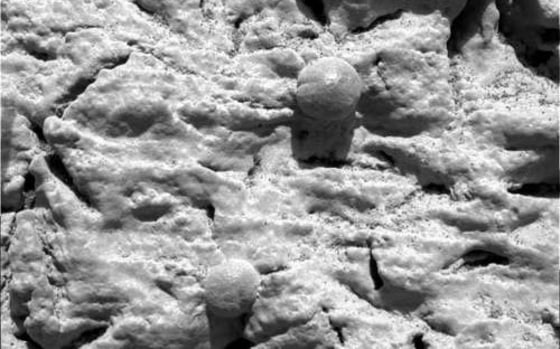 A picture from the Opportunity rover's microscopic imager shows fine layering within Martian bedrock as well as two of the spherical rock grains known as "Martian blueberries." Scientists say such pictures strongly hint at water's role in Mars' ancient past.