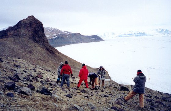 A research team works on James Ross Island, near the Antarctic Peninsula, where the bones of what scientists believe is a previously unknown species of carnivorous dinosaur were found.