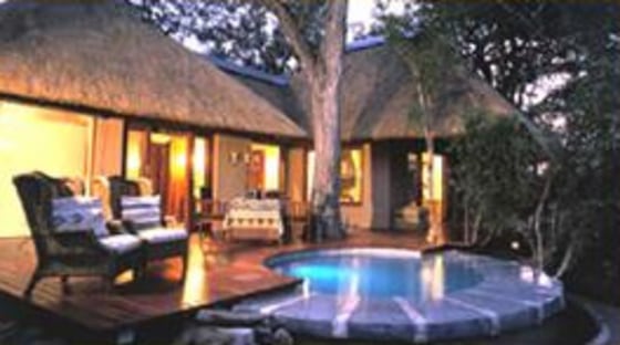 Not quite roughing it: The Tree Camp at South Africa's exclusive Londolozi Private Game Reserve