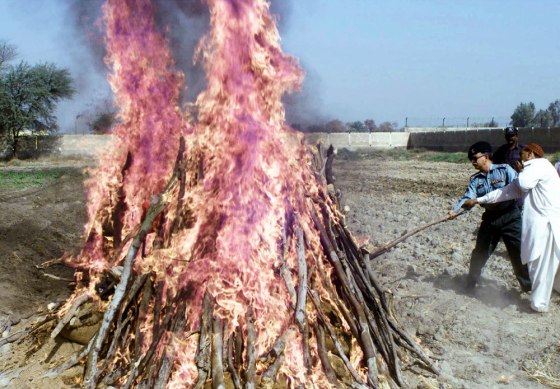 PAKISTANI OFFICIALS TORCH SEIZED NARCOTICS IN SUKKUR