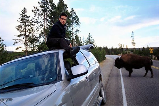 National Geographic correspondent Nick Baker takes a 5,000-mile road trip from the northernmost reaches of the Yukon to Yellowstone National Park, exploring one of the greatest mountain ecosystems in the world. Baker explores this wilderness in the wake of an ambitious plan to link the parks and reserves of the northern Rockies.